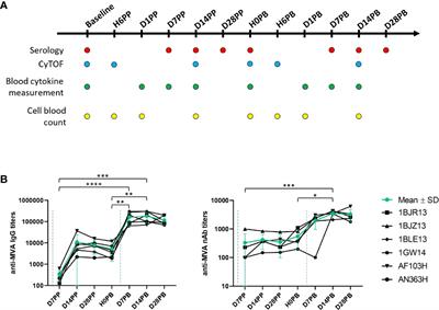 The Route of Vaccine Administration Determines Whether Blood Neutrophils Undergo Long-Term Phenotypic Modifications